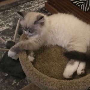 Meet your Posher, Jaclyn